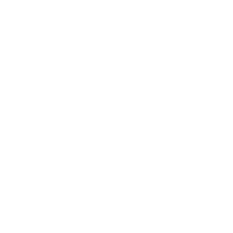 Gil Investigations Concept